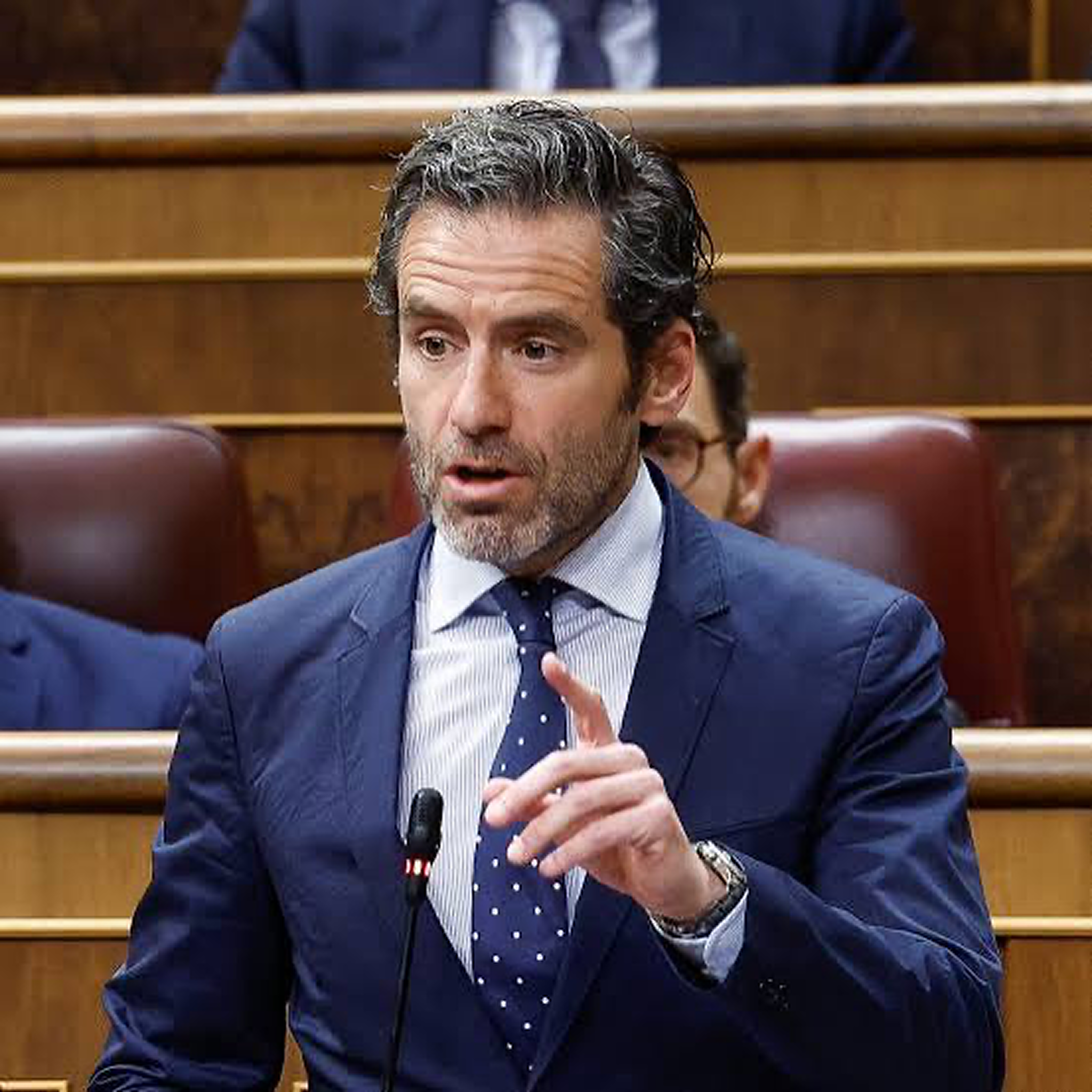 BORJA SEMPER 1